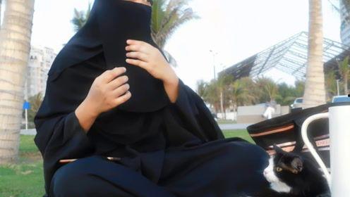 娱乐吃瓜君御姐免费阅读,揭秘娱乐圈背后的故事